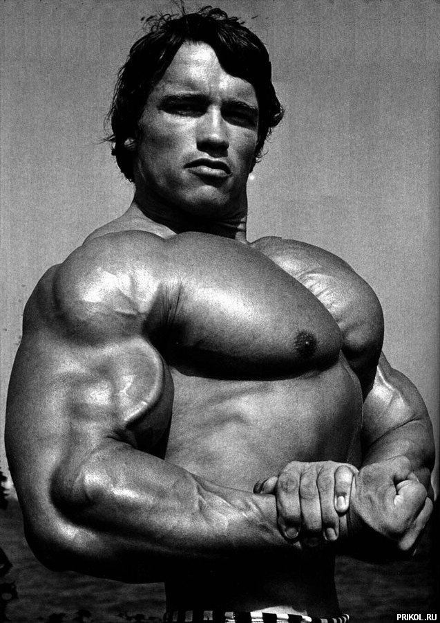 arnold-schwarzenegger-101