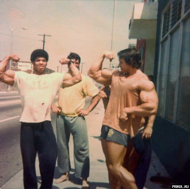 arnold-schwarzenegger-103