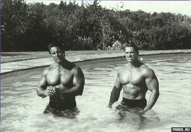 arnold-schwarzenegger-104