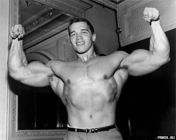 arnold-schwarzenegger-109