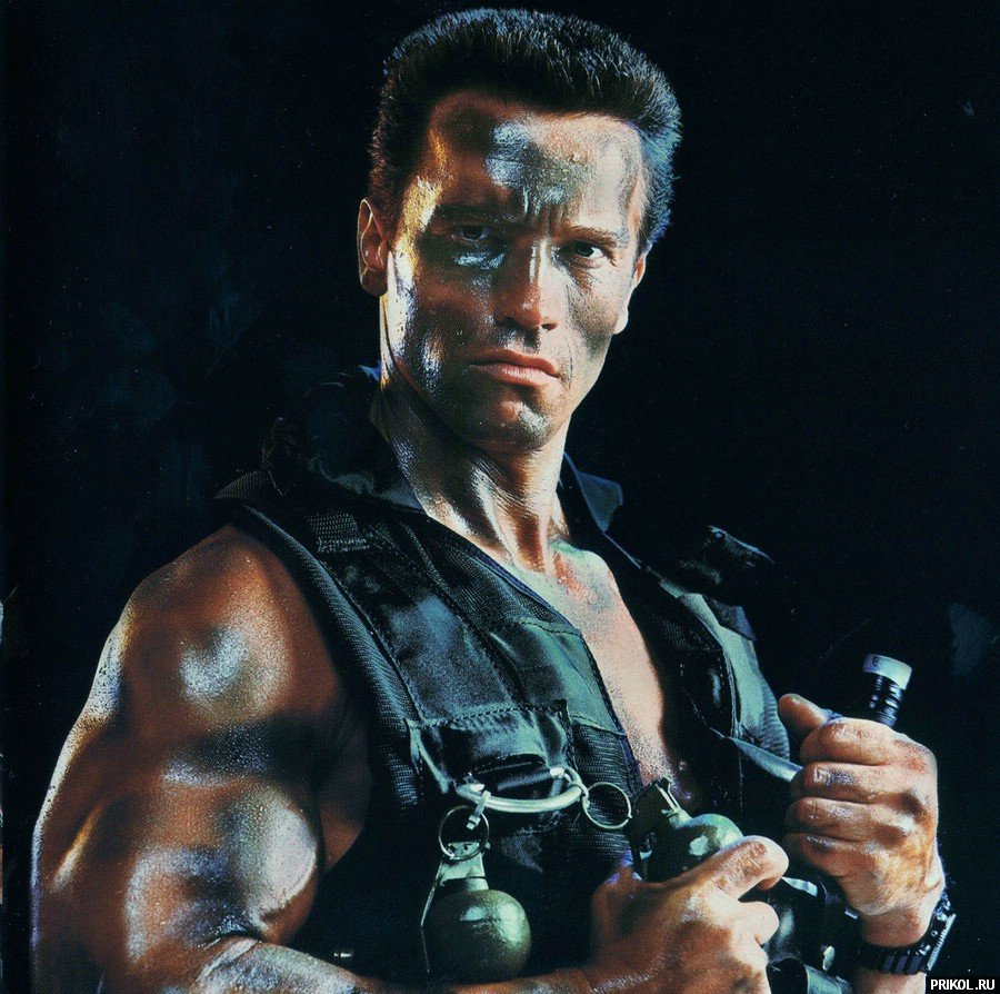 arnold-schwarzenegger-114