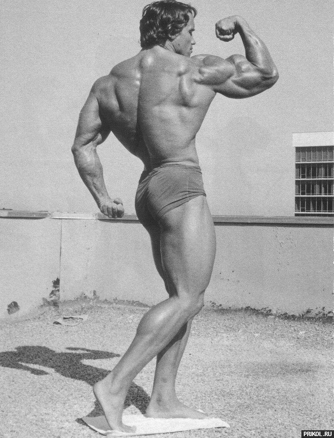 arnold-schwarzenegger-21