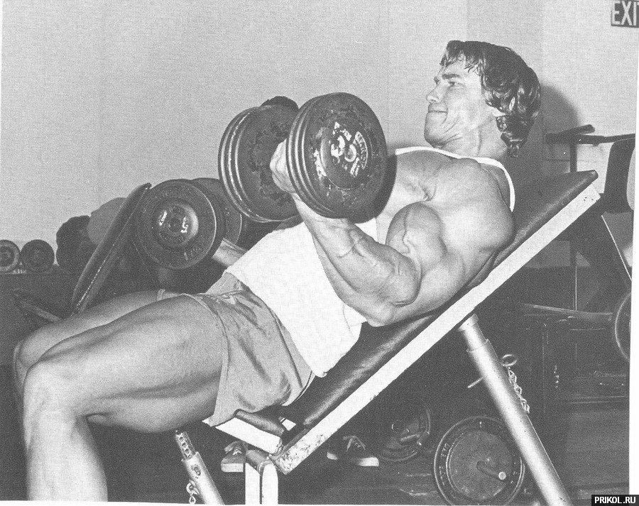 arnold-schwarzenegger-34