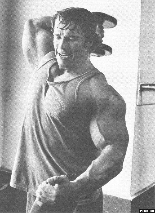 arnold-schwarzenegger-37