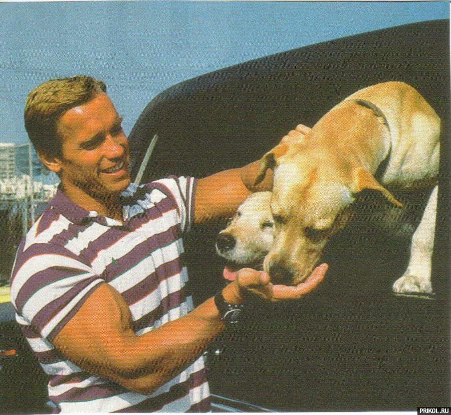 arnold-schwarzenegger-46