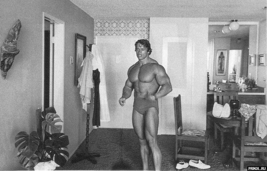 arnold-schwarzenegger-47