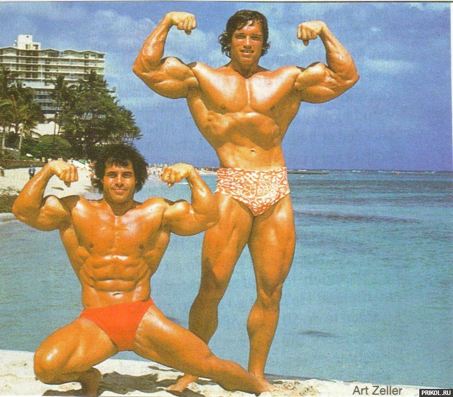 arnold-schwarzenegger-54