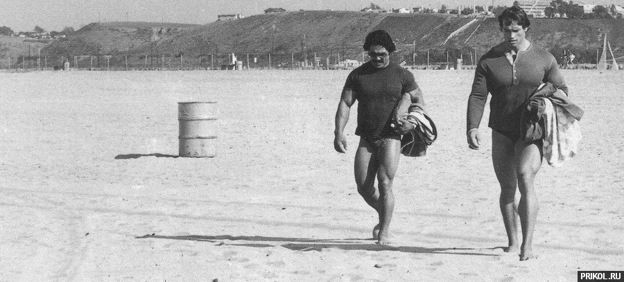 arnold-schwarzenegger-59