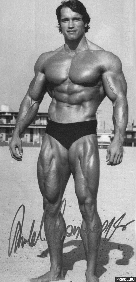 arnold-schwarzenegger-67