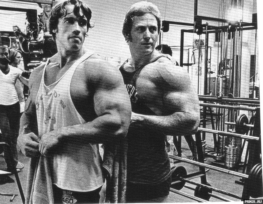 arnold-schwarzenegger-74