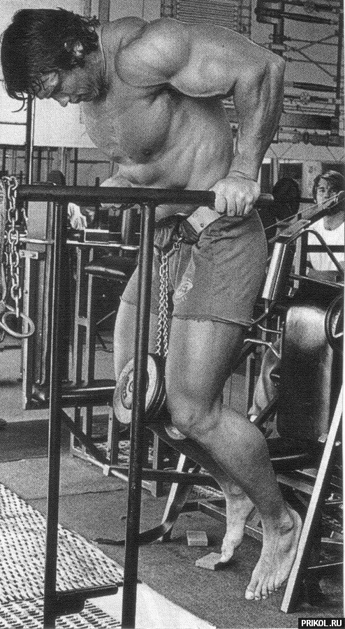 arnold-schwarzenegger-81