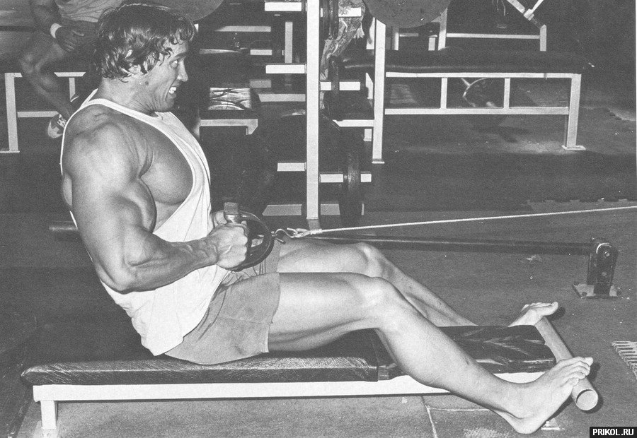 arnold-schwarzenegger-82