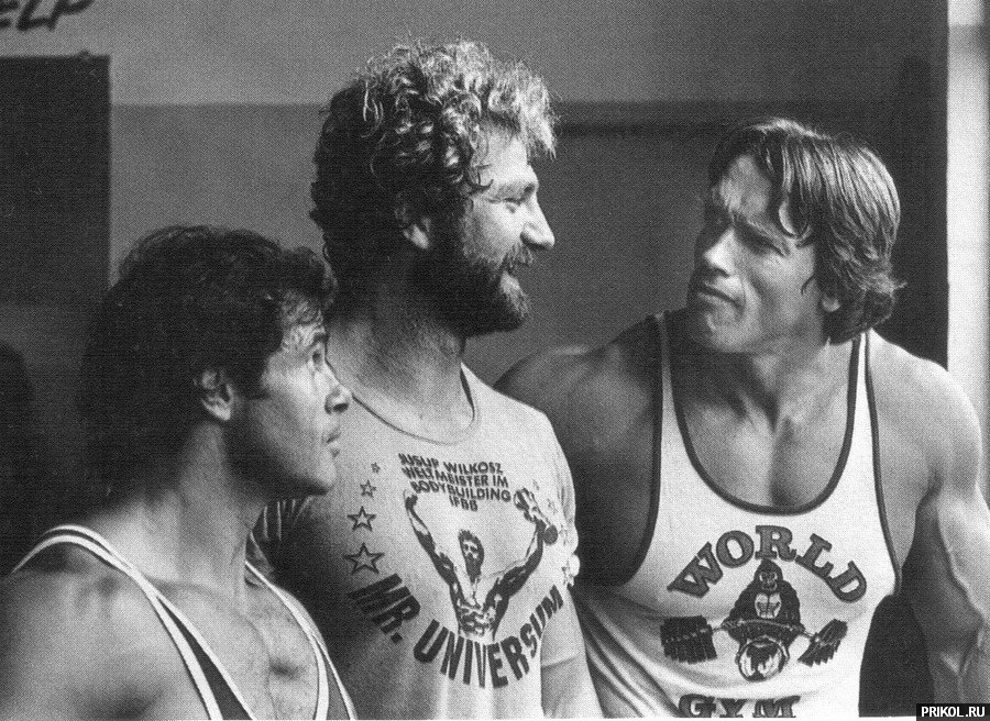 arnold-schwarzenegger-83