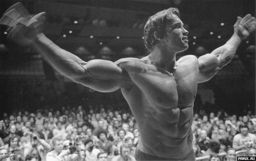 arnold-schwarzenegger-85