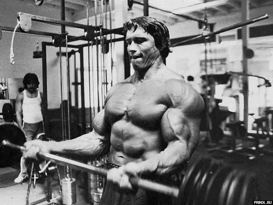 arnold-schwarzenegger-98