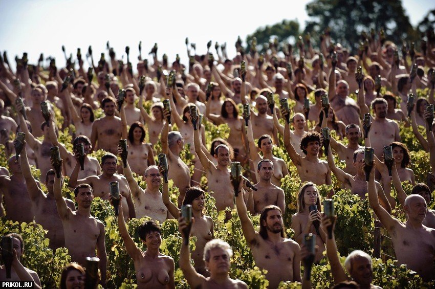 nudes-in-vineyard-01