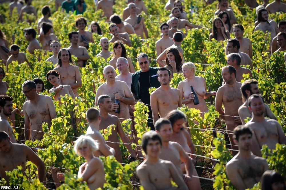 nudes-in-vineyard-02