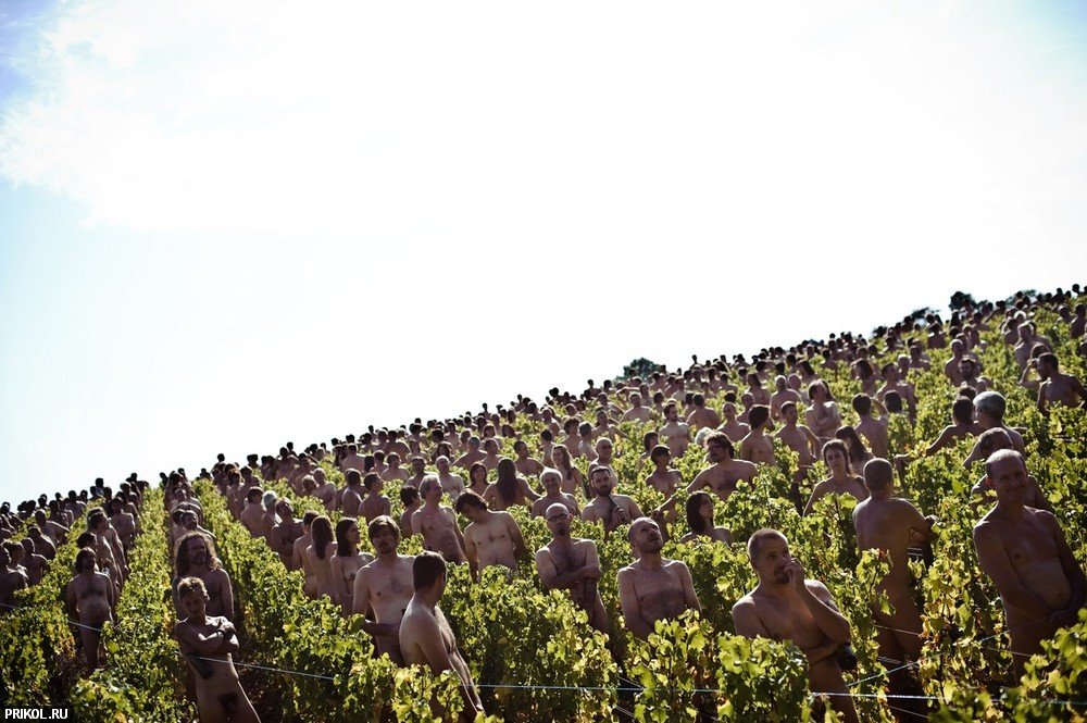 nudes-in-vineyard-03
