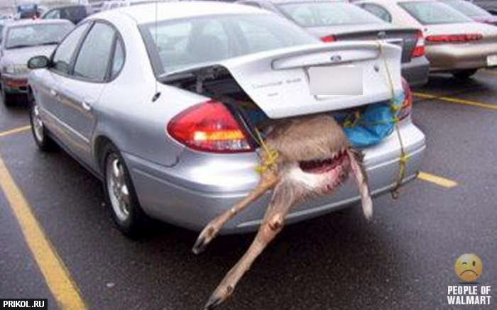 people-of-walmart-96