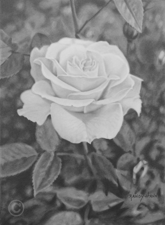 randy-hann-drawings-25