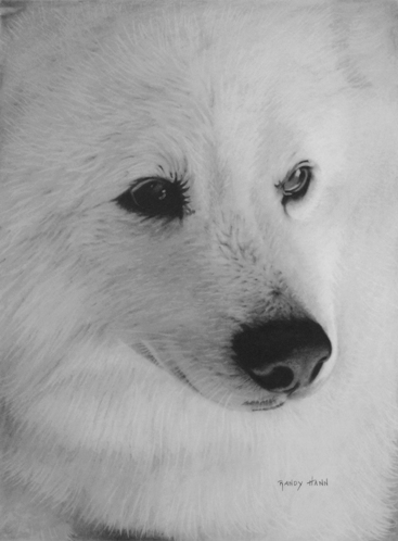 randy-hann-drawings-28