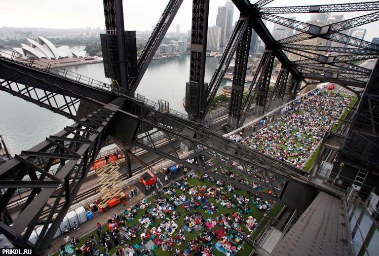 sydney-harbour-bridge-picnic-01