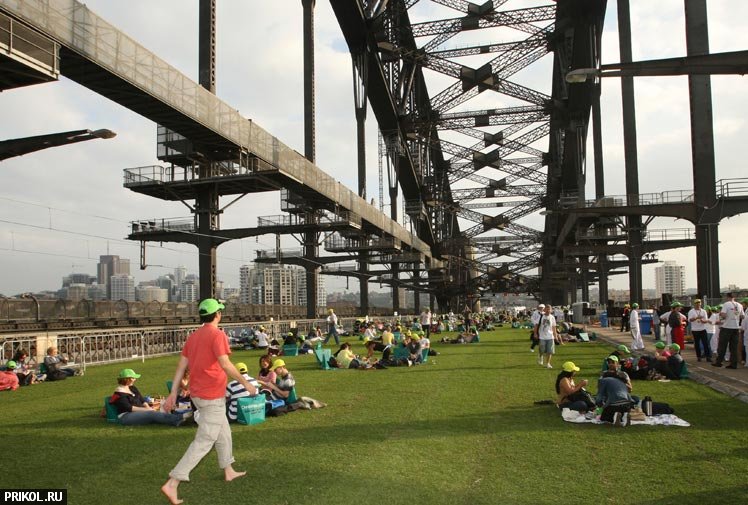 sydney-harbour-bridge-picnic-02