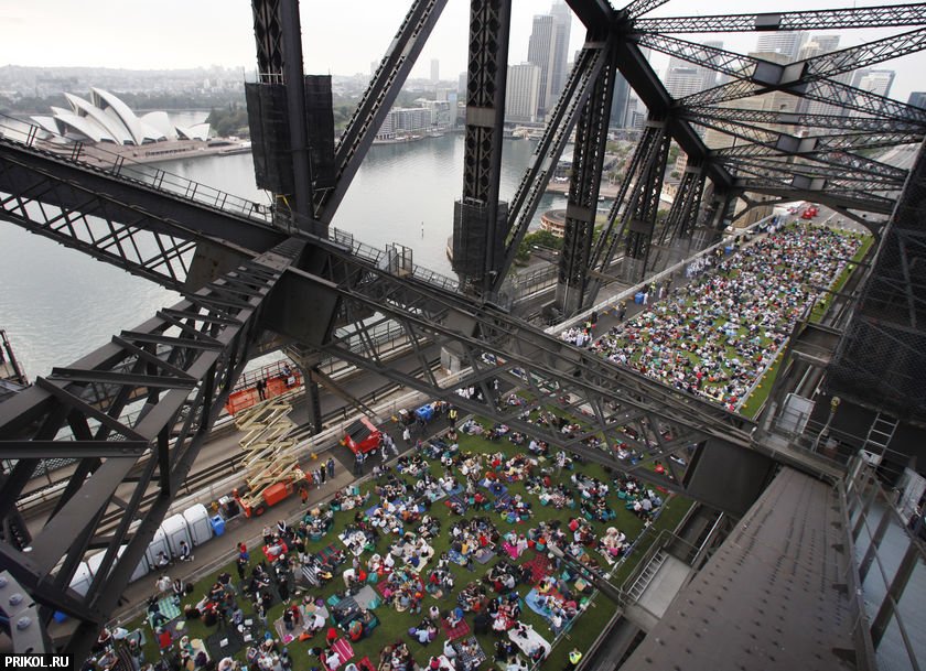 sydney-harbour-bridge-picnic-03