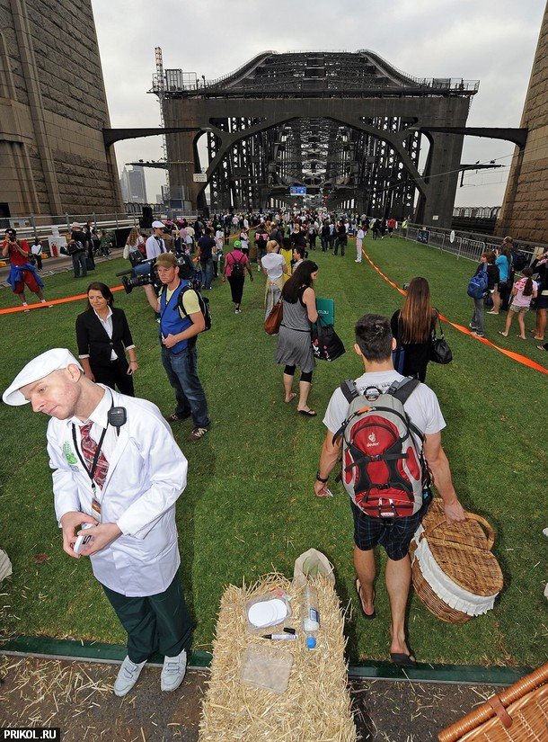 sydney-harbour-bridge-picnic-04