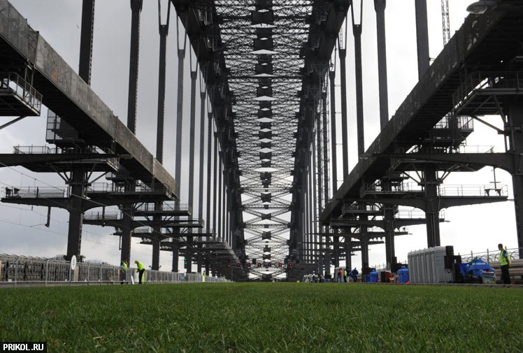 sydney-harbour-bridge-picnic-06