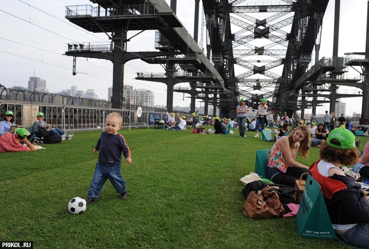 sydney-harbour-bridge-picnic-08