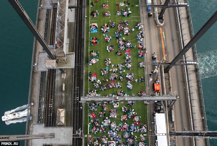 sydney-harbour-bridge-picnic-09