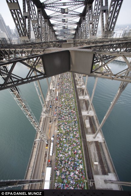 sydney-harbour-bridge-picnic-12