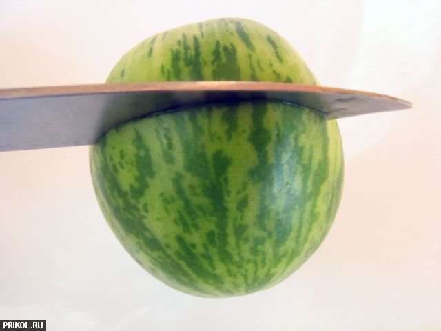 tiny-watermelon-02