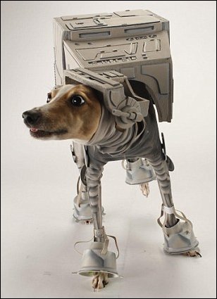 Костюм для собаки в духе Звездных Войн