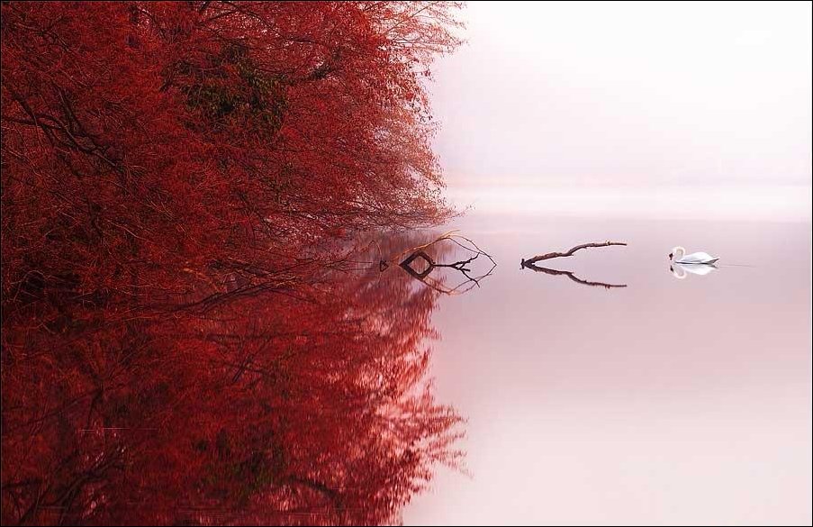 Подборка фотографий