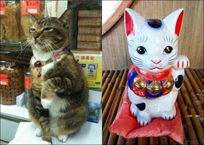 Подборка фотографий