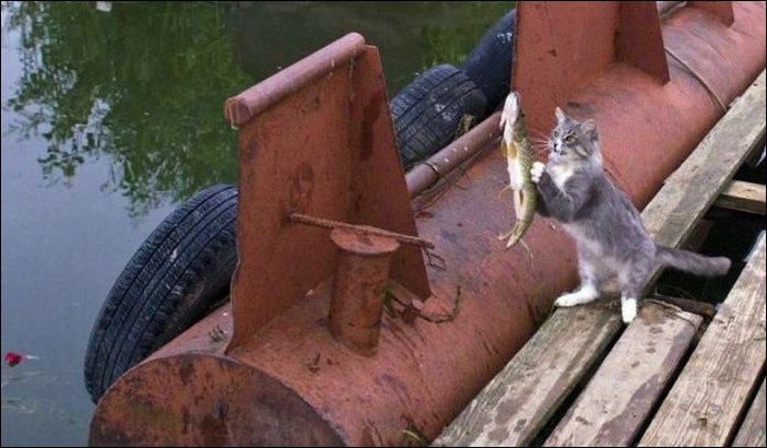 Подборка фотографий