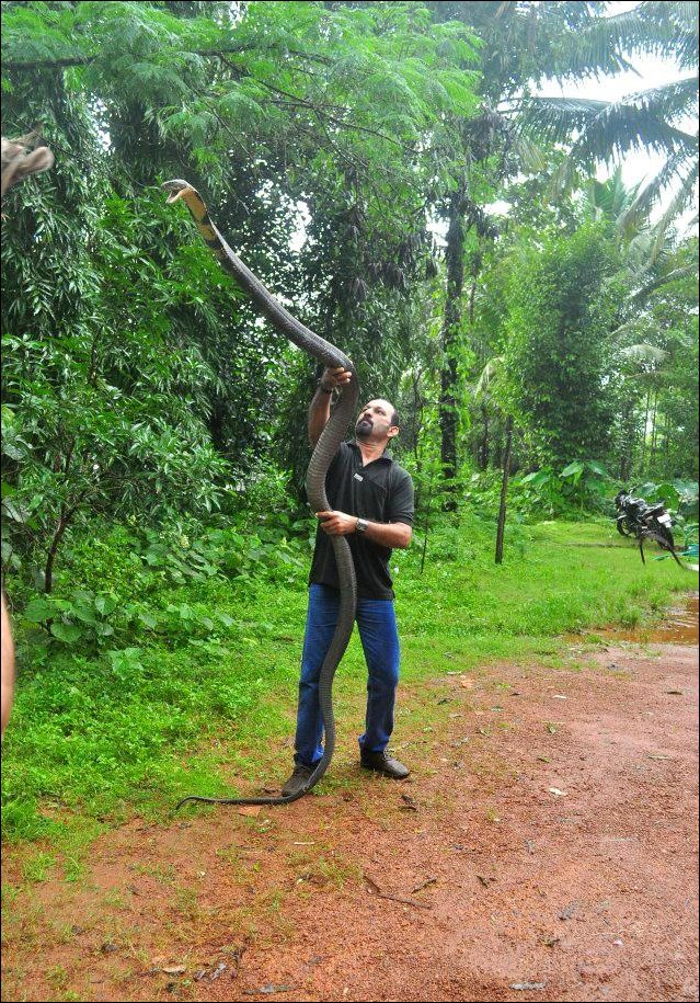 Подборка фотографий