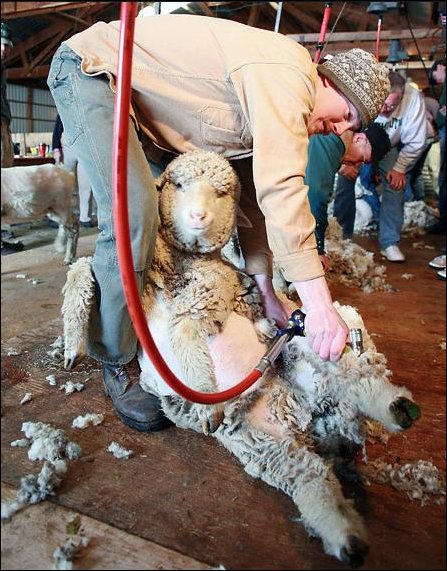 Подборка фотографий