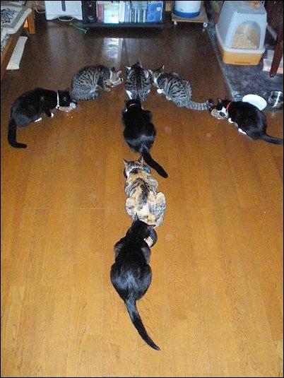 Подборка фотографий