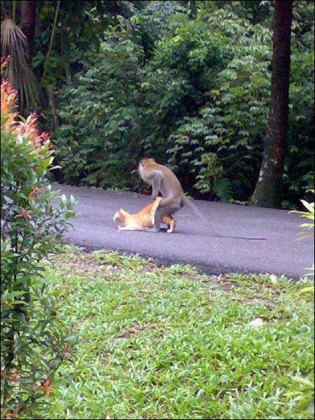 Подборка фотографий