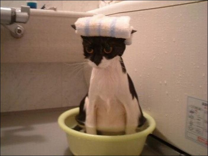 Подборка фотографий