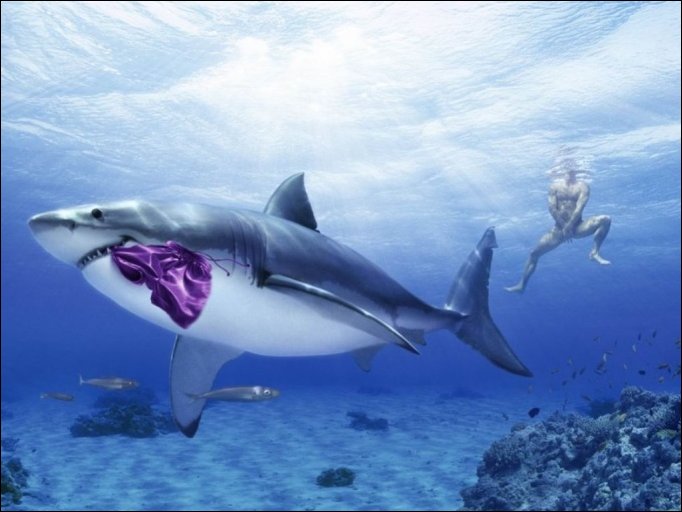 Подборка фотографий