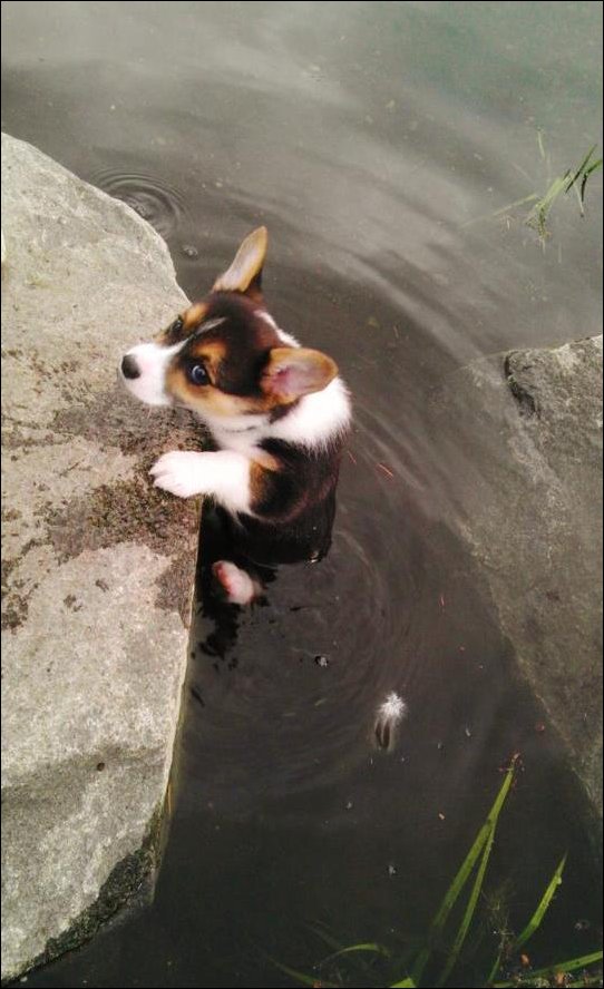 Подборка фотографий