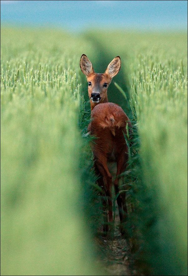 Подборка фотографий
