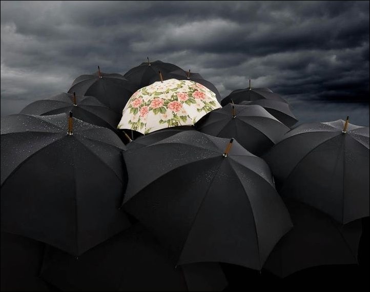 Подборка фотографий