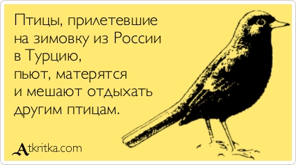 Прикольные Аткрытки