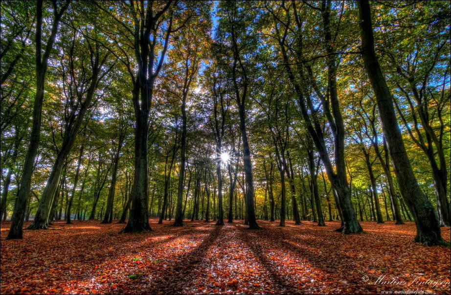 Все краски осени