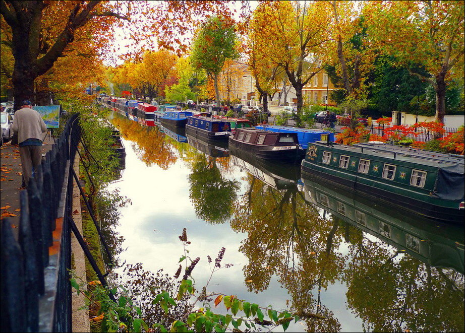 Все краски осени